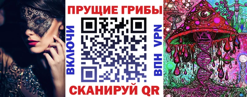 Купить  Партизанск  Псилоцибиновые грибы Magic Shrooms 